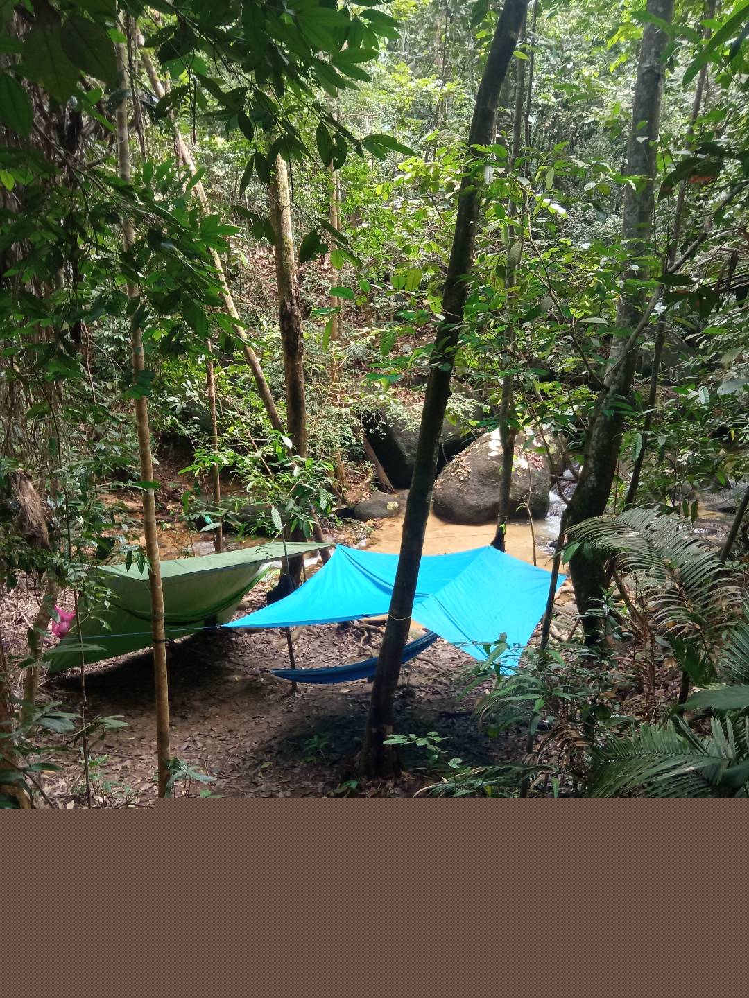 ..of.Thrills, Frills..Hills..Chills..& Spills..hammock 4 cool comfort.."LiVe raw.. Guitar jamming" in pure nature..all an adventure should be and more! 🌈🙈🎸🕸🌿🔥Let me take u 2 a one of a kind nature adventure that your friends will wish they had join u ! — photo 17