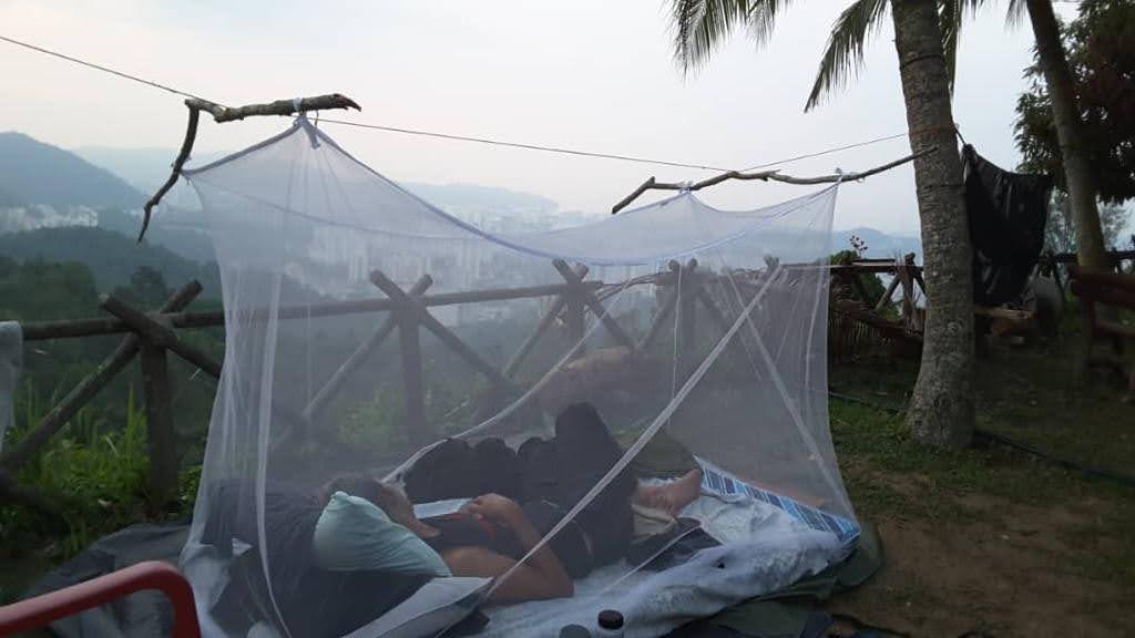 ..of.Thrills, Frills..Hills..Chills..& Spills..hammock 4 cool comfort.."LiVe raw.. Guitar jamming" in pure nature..all an adventure should be and more! 🌈🙈🎸🕸🌿🔥Let me take u 2 a one of a kind nature adventure that your friends will wish they had join u ! — photo 14