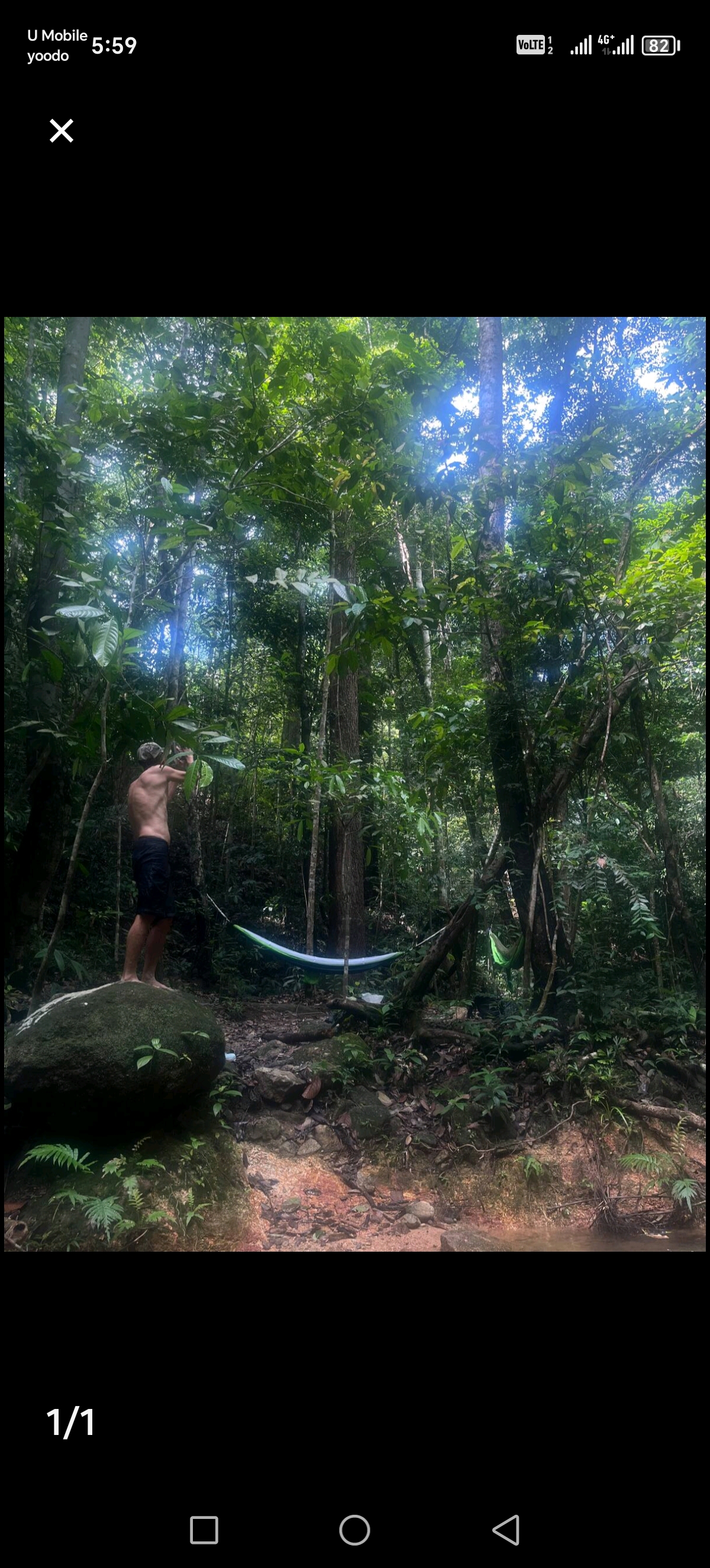 ..of.Thrills, Frills..Hills..Chills..& Spills..hammock 4 cool comfort.."LiVe raw.. Guitar jamming" in pure nature..all an adventure should be and more! 🌈🙈🎸🕸🌿🔥Let me take u 2 a one of a kind nature adventure that your friends will wish they had join u ! — photo 21